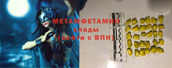 прущие грибы Бронницы