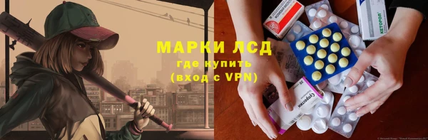 прущие грибы Бронницы