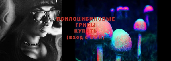соль ск Верея