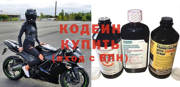 таблы Бородино
