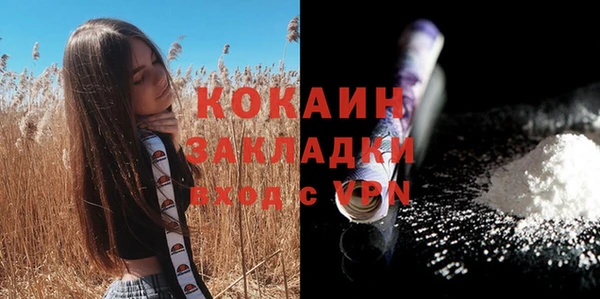 таблы Бородино
