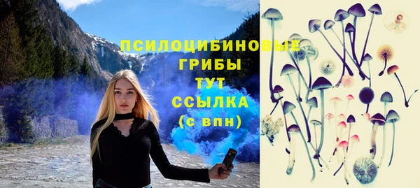 таблы Бородино