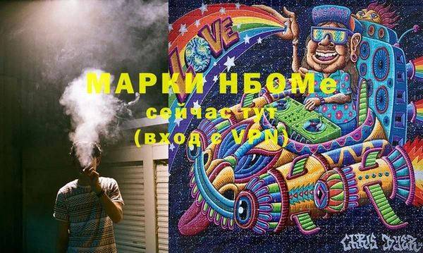 прущие грибы Бронницы