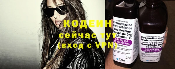 прущие грибы Бронницы