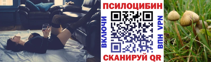 Псилоцибиновые грибы Psilocybine cubensis  Кандалакша 